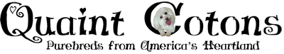 custom logo design for dog breeder