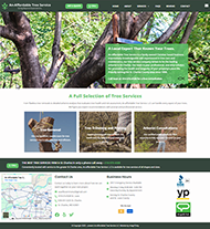 Wordpress membership website